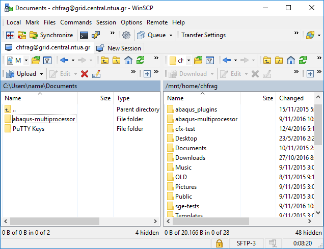 winscp local remote